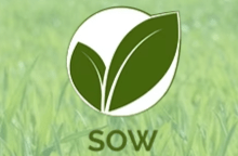 フリースクール　横浜市 SOW
