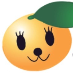 フリースクール 堺市 お昼間の塾 わなどぅ 堺校